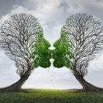 love therapy and relationship recovery counseling concept as two empty trees shaped as a human head attracted together as a devoted loving couple with kissing lips resulting in a return to a healthy passionate ralation.
