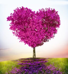 Arbre rose en forme de coeur