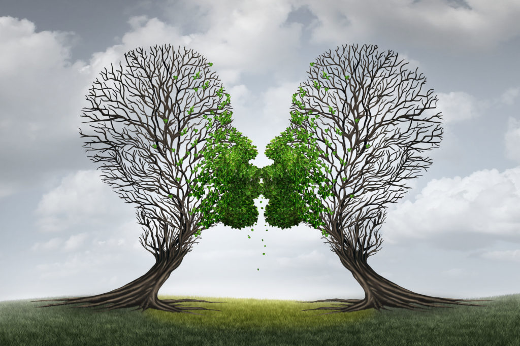 love therapy and relationship recovery counseling concept as two empty trees shaped as a human head attracted together as a devoted loving couple with kissing lips resulting in a return to a healthy passionate ralation.
