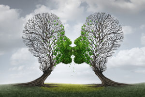 love therapy and relationship recovery counseling concept as two empty trees shaped as a human head attracted together as a devoted loving couple with kissing lips resulting in a return to a healthy passionate ralation.